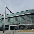 내혜홀2길 | [주간일기] 260309-260315 일상