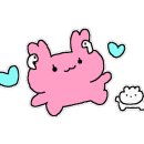 바른녹즙 이미지