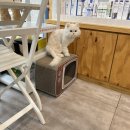 CH동물병원 이미지