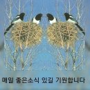 예쁜날 - 원주시 중앙로 119 | 예쁜날