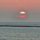 제미바릇 이미지