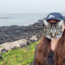 일산로635번길 이미지