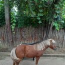 말무리염소농장 이미지