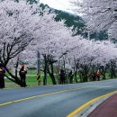 웅천 소류지 이미지