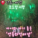 와인터널주차장 | 충북 영동 여행지 아이와 가기 좋은 와인터널 방문 후기 할인 주차장