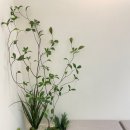 조경치과의원 이미지