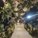 뽀빠이하우스 이미지