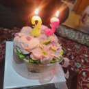 스테이 아이올라 이미지