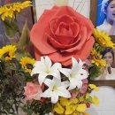 미스트롯 노래연습장 이미지