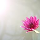 광교미소모아내과의원 이미지