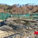 남차1리 이미지