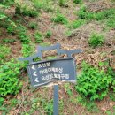 돌개구멍 화장실 이미지