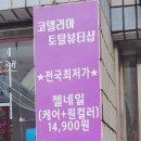코델리아 네일뷰티 이미지