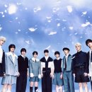 앤팀 카카오 검색결과