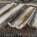 힘쎈민물장어 이미지