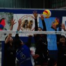 인제체육관 이미지