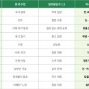 미니오영어