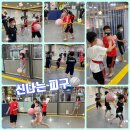 신주례태권도 체육관 이미지