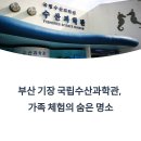 수산유치원 | 기장 국립수산과학관, 아이와 주말 나들이 코스로 최고