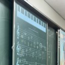 아마코드주