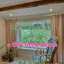 어 타이니 리틀피스 | [제주 서귀포] 어느하나 아쉬운 곳 없었던 제주 감성숙소, 어타이니리틀피스(a tiny little peace)