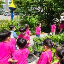 노란풍차유치원 이미지