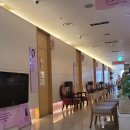 분홍빛으로병원 | 유방초음파 후 조직검사 통증, 방법, 비용, 결절모양, 분홍빛으로, 여성메디파크 후기