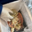 노량진 수산시장 킹크랩 포장 맛집 영동수산 내돈내산 (12월시세)
