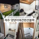 댕댕이 운동장 | [제주 펜션] 공항근처 애견개별운동장 펜션 "제주 댕댕이 애견 펜션 블랙" (솔직후기, 내돈내산)