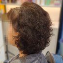레이첼일산 | [일산 미용실 레이첼헤어] 레이첼 헤어의 대표 스타일 뿌리볼륨 '리프팅 펌'