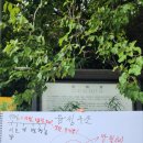 포항지형산책 이미지