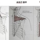 매트&소도구 일요집중반 - 정희정(11/5) 이미지