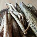 우영산업(주) | 우엉재배, 우엉토양, 우영파종, 우영거름주기, 우엉추비, 우엉효능, 우엉품종, 우엉병충해