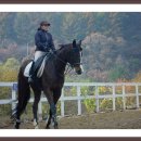 화이트 밸리 이미지