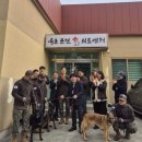 육군 군견훈련소 이미지