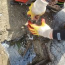 은현식당 이미지