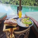 Dog차지 | 발리 우붓 데이클럽 | Jinengku Pool &amp; Bar 정글뷰 수영장(+메뉴 미니멈차지)