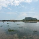 자연아 놀자자연생태탐험대 이미지