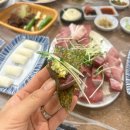 박물관횟집 | 김해 대방어 현지인 맛집 내돈내산 솔직후기 주차팁; 삼대도매횟집