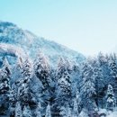 소래미소치과의원 이미지