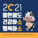 JMC줄넘기&태권도장 이미지