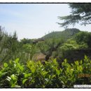 한길목장 이미지