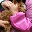 지산동물병원 이미지