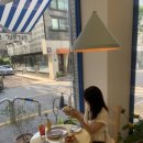 단정(Hair Salon)