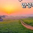코앞스테이