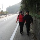 세천강변 이미지