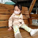 테하스랜드 글램핑장 이미지