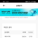 로타리스크린골프 이미지
