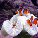 해물박사 이미지