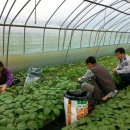 진악지구대 이미지